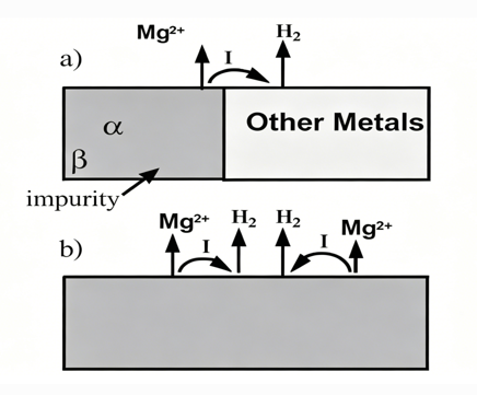 Corrosion Mechanism of Magnesium Alloys