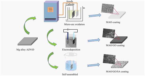 Four Graphene-Based Surface Treatment Routes for Magnesium Alloy